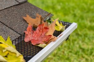 Close-up of a house gutter covered with a black mesh guard, partially filled with fallen autumn leaves, including a prominent red maple leaf. The roof shingles and a blurry green lawn are visible in the background, showcasing expert gutter installation.